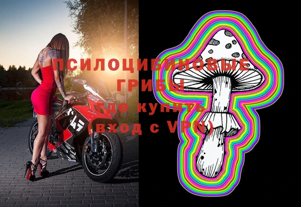 индика Рославль