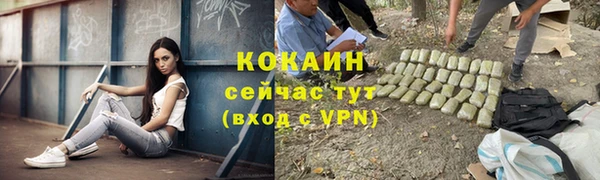 молекула духа Россошь